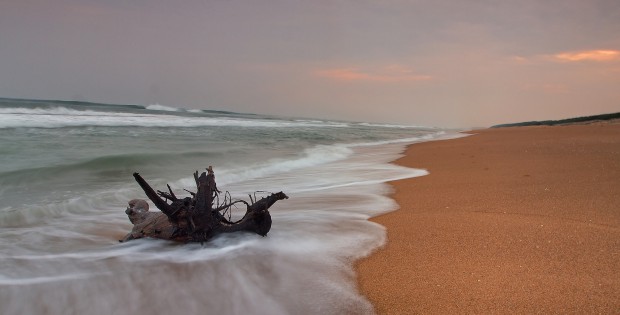 gahirmatha-beach