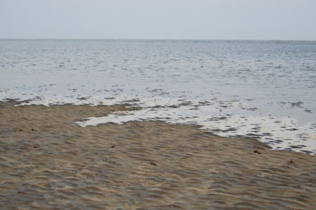 Odisha Beach Tours